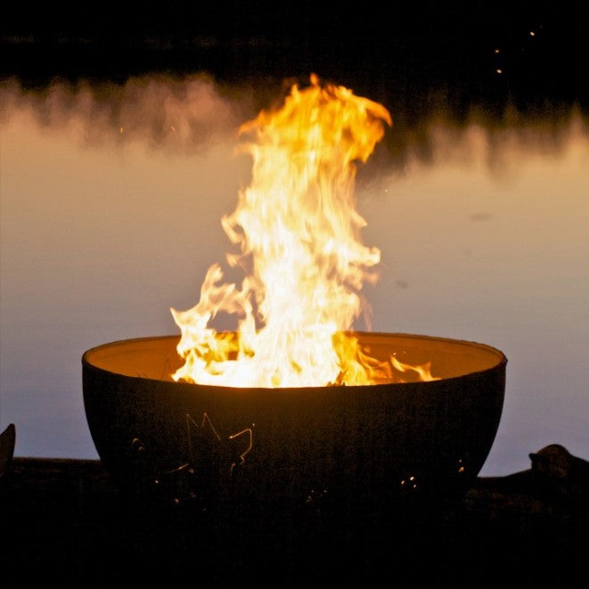 Funky Dog at the Lake