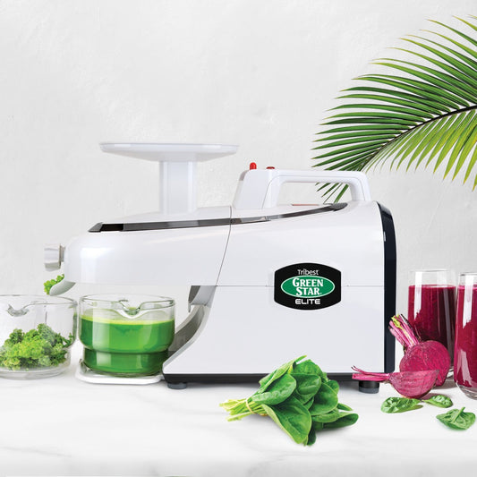 Greenstar® Elite Jumbo Twin Gear Slow Masticating Juicer