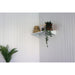 Duramax 10' x 10' Insulated Garden Glass Room Building 32001 - Backyard Provider