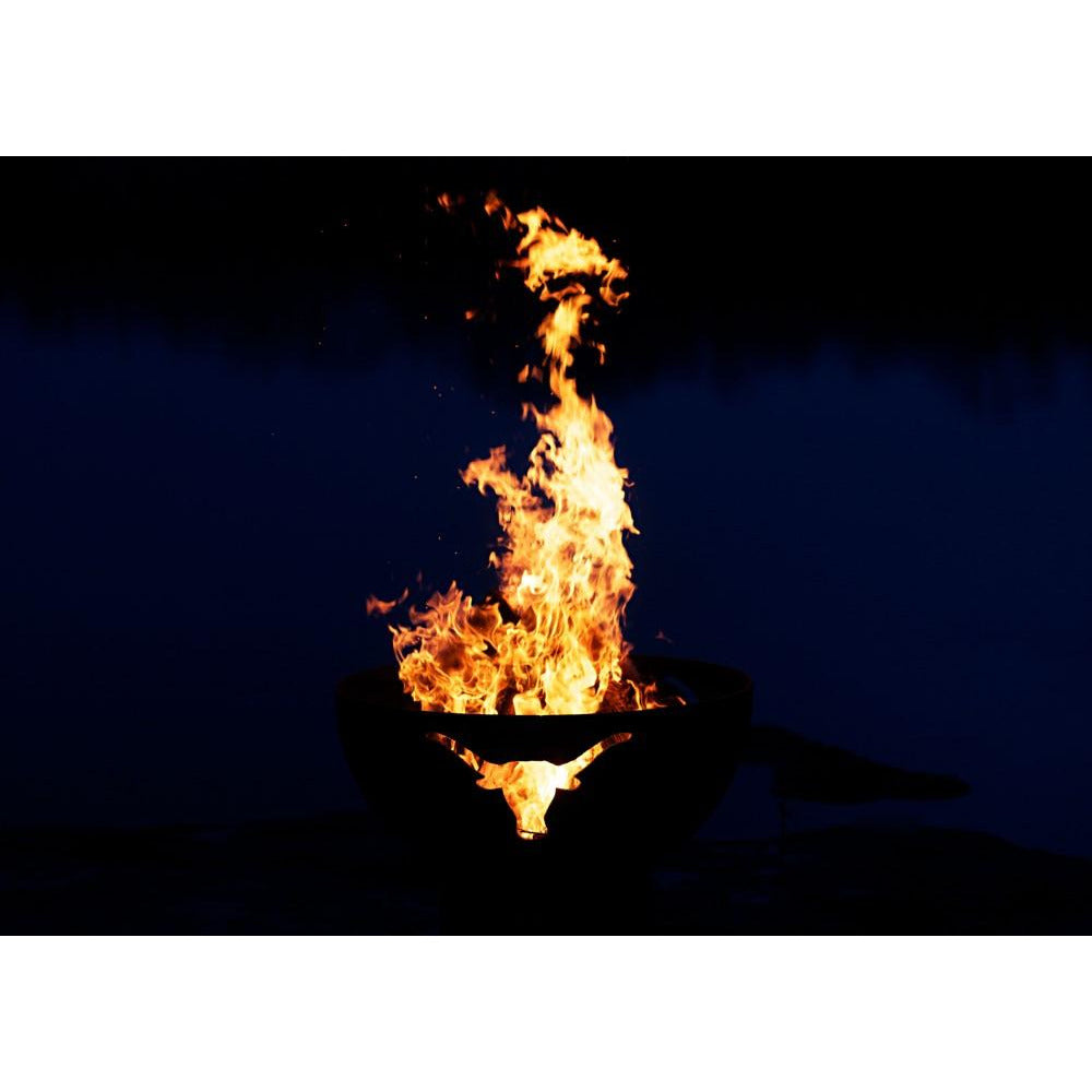 Long Horn at night - with fire