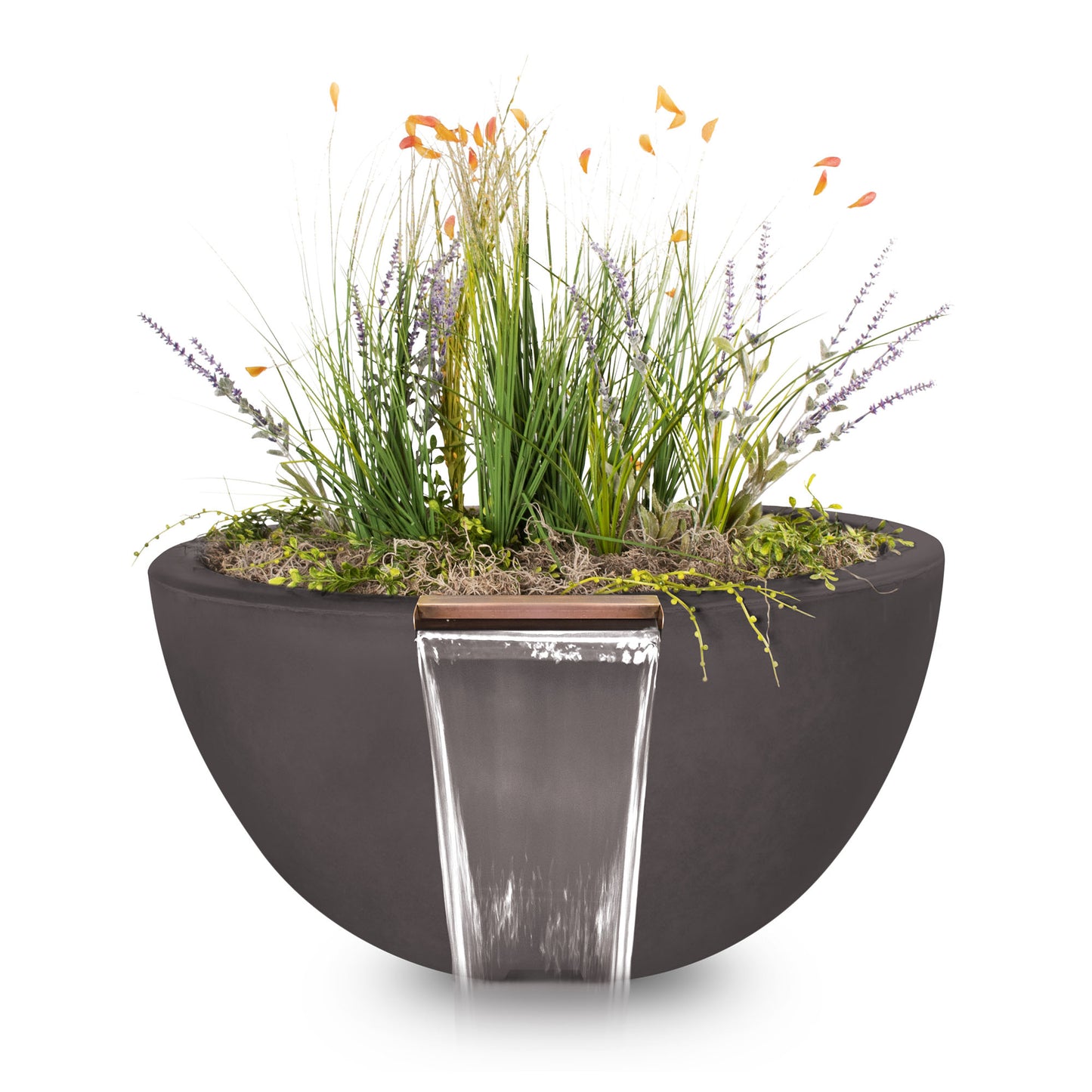 Luna Concrete Planter & Water Bowl Chestnut