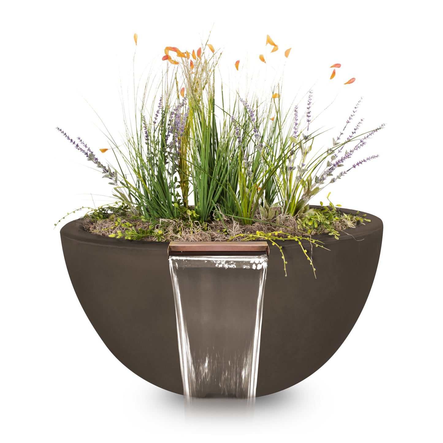 Luna Concrete Planter & Water Bowl Chocolate