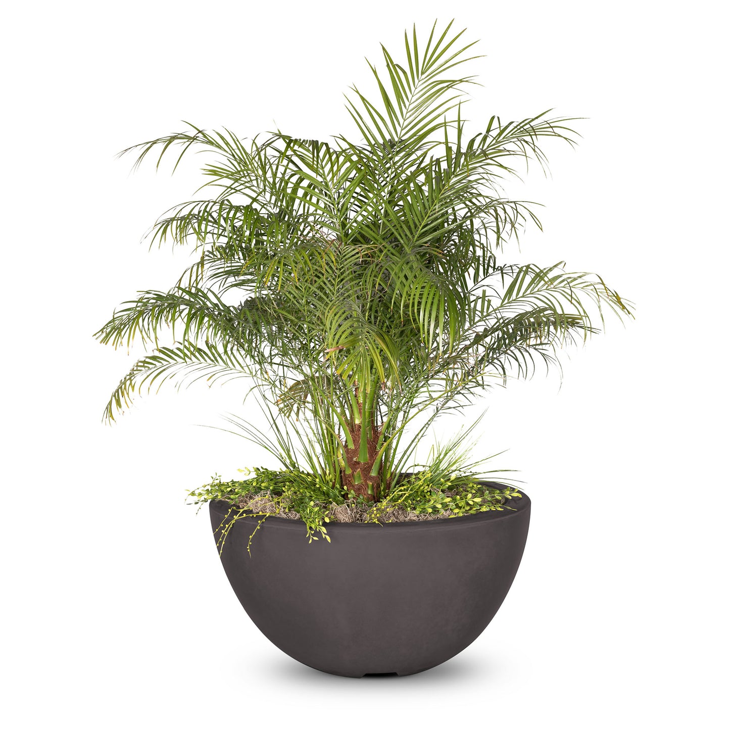 Luna Planter Bowl Chestnut