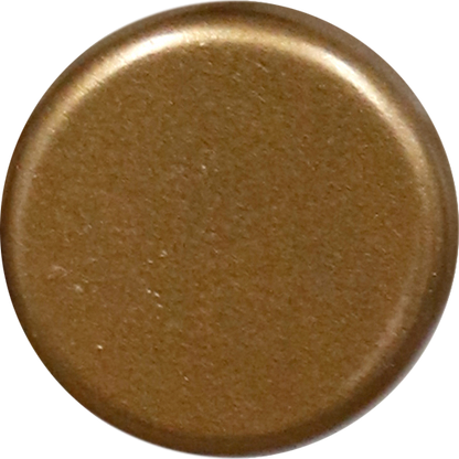 Bronze Swatch