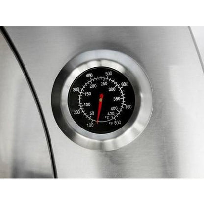 Pinnacolo Ibrido Hybrid Outdoor Pizza Oven