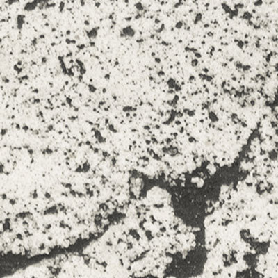 Rustic Limestone Texture