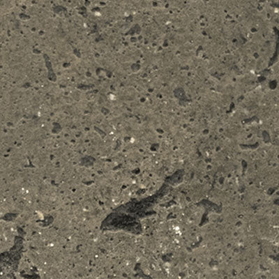 Rustic Moss Stone Texture