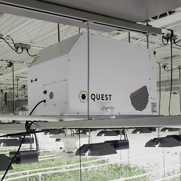 Quest Dual 105 Overhead Dehumidifier - Backyard Provider