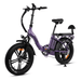 Rattan LF 750PRO Electric Bike - RAT-LF RED