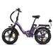 Rattan LF 750PRO Electric Bike - RAT-LF RED