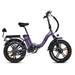 Rattan LF 750PRO Electric Bike - RAT-LF RED