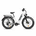 Rattan Pathfinder Step-Through Electric Bike - RPST-01