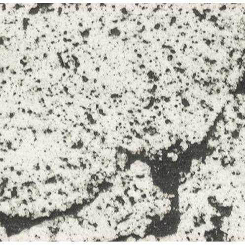 48" Pismo Concrete Fire Pit Rustic White