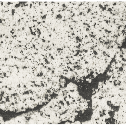 48" Pismo Concrete Fire Pit Rustic White