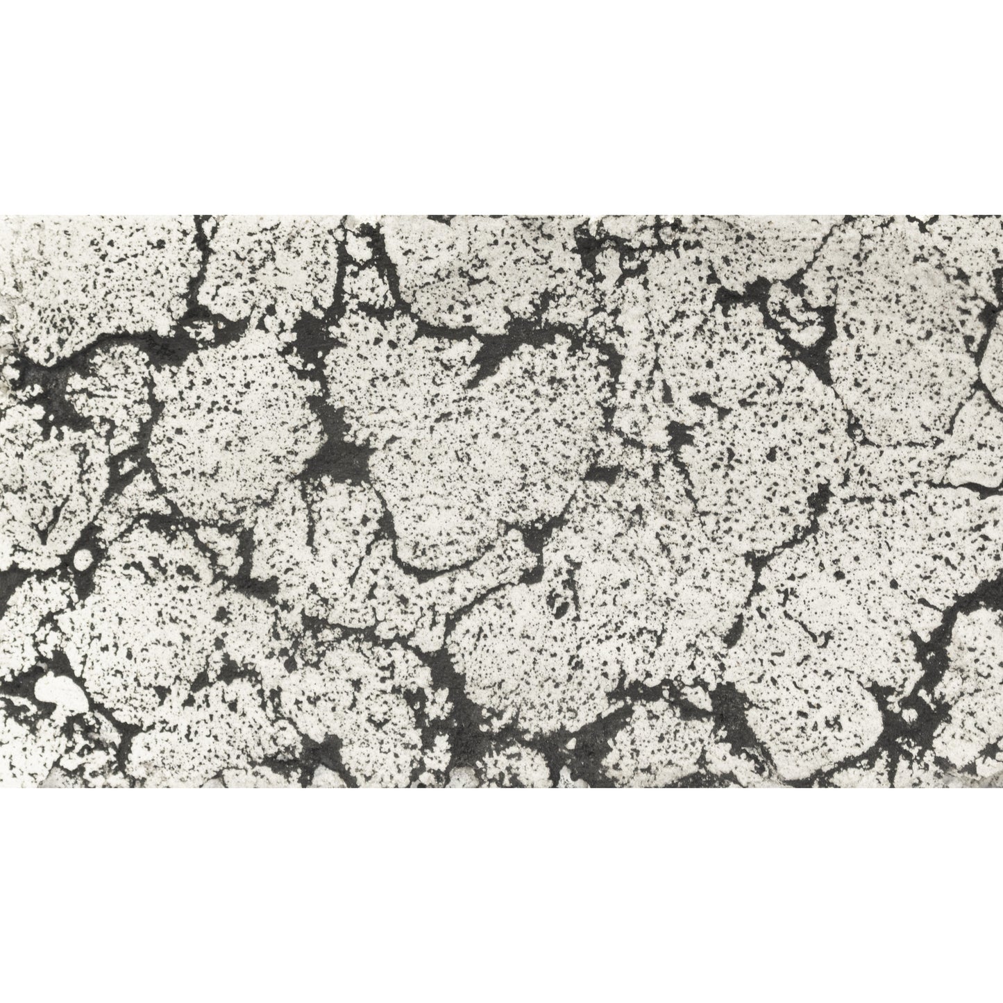 Luna Planter Bowl Rustic White