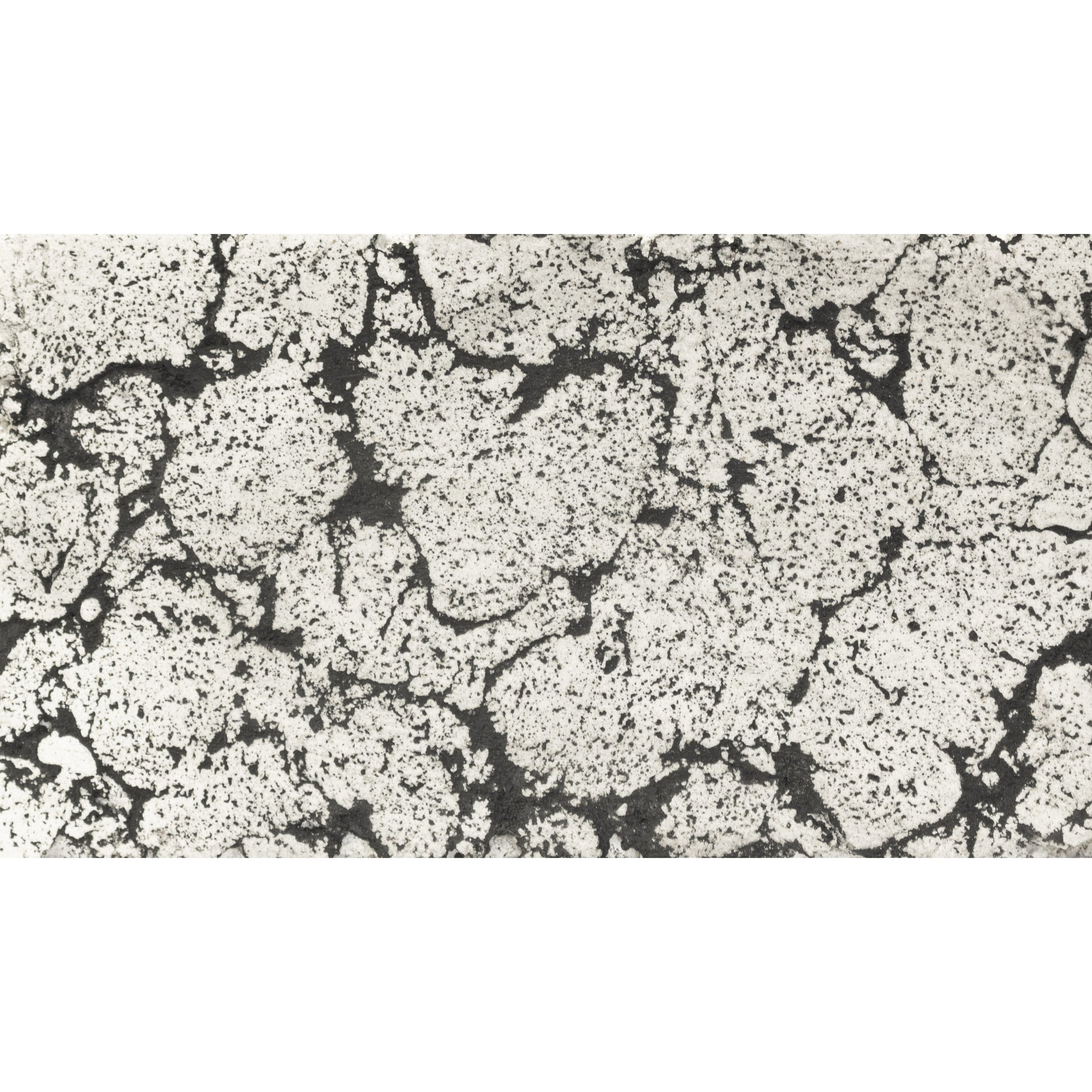 Luna Planter Bowl Rustic White