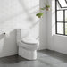 Swiss Madison Avancer One-Piece Toilet with Cascade Smart Seat 0.95/1.26 gpf - SM-ST021 - Backyard Provider