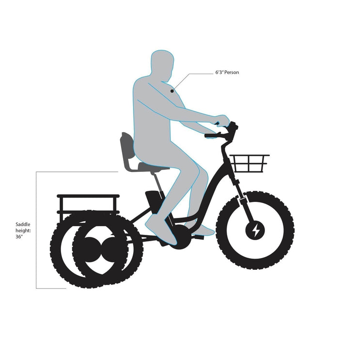 Emojo Caddy Pro 500W 48V Fat Tire Electric Tricycle - EBK12-02