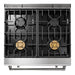 Thor Kitchen Appliance Package - 30 In. Gas Range, Range Hood, Microwave Drawer, AP-TRG3001-C-4