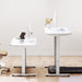WalkingPad Standing Desk Height Adjustable - WPDESK