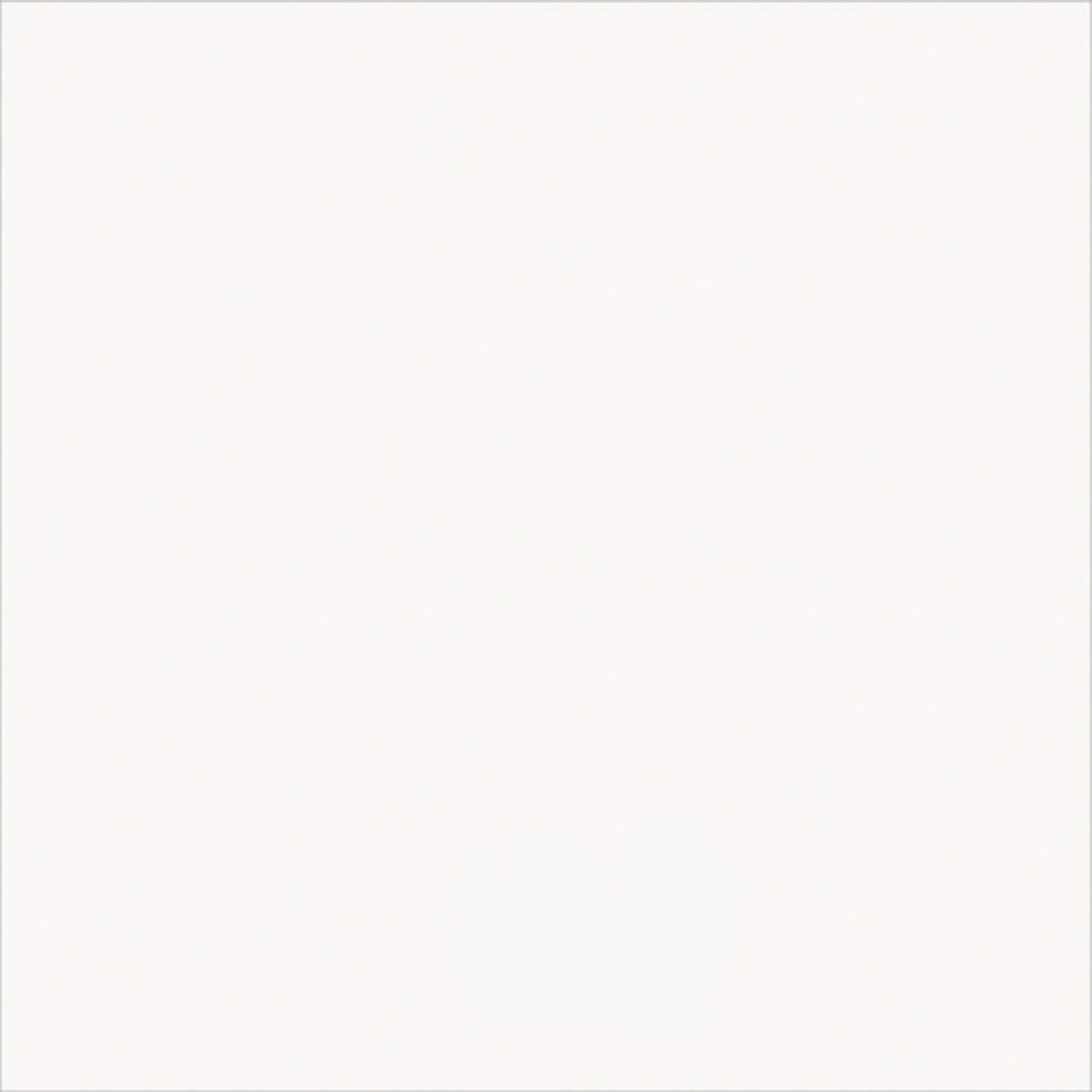 Luna Planter Bowl Powdercoat White