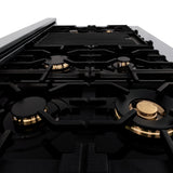 ZLINE Autograph 48 in. Gas Burner/Electric Oven in Stainless Steel with Gold Accents, RAZ-48-G