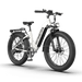 Aostirmotor QUEEN 1000W 52V All Terrain Step-Thru Fat Tire Electric Bike