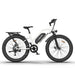 Aostirmotor S07-G 48V/13Ah 750W Electric Commuter Bike