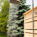 Canadian Timber Savannah Standing Shower by Dundalk Leisurecraft