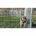 16' X 24' Complete Playzone W/Multiple 4' X 8' PRO Dog Kennels X4