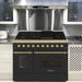 Hallman CLASSICO 48” 6.7 Cu.Ft. 8 Burner Freestanding All Gas Range and Gas Oven - HCLRG48