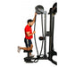 Ropeflex RX2500T Tri-Station Oryx Rope Pull Machine - Backyard Provider