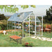 Palram - Canopia Nature Hybrid Greenhouse | 6 x 10 - HG5510