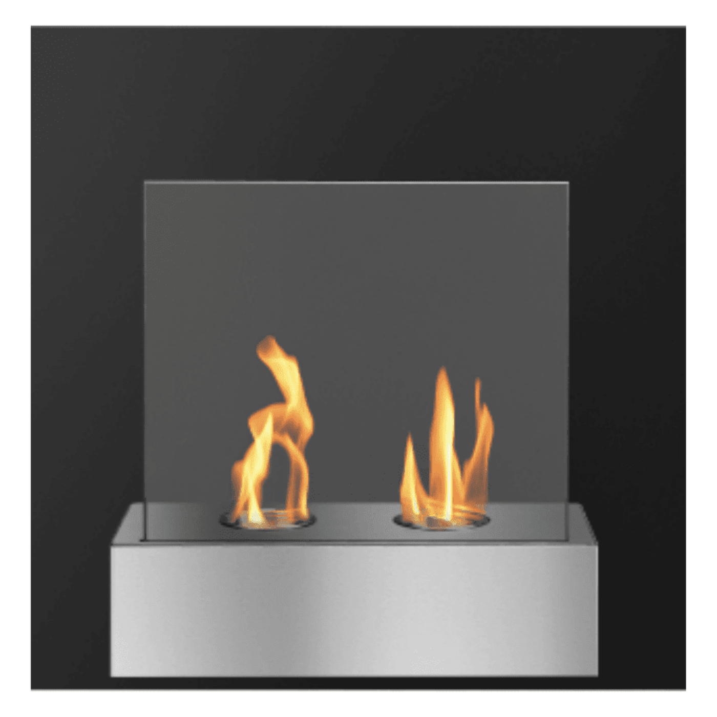 The Bio Flame Pure 24-Inch Wall Mounted Ethanol Fireplace