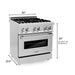ZLINE 30 in. Professional Gas Burner, Electric Oven Stainless Steel Range, RA30